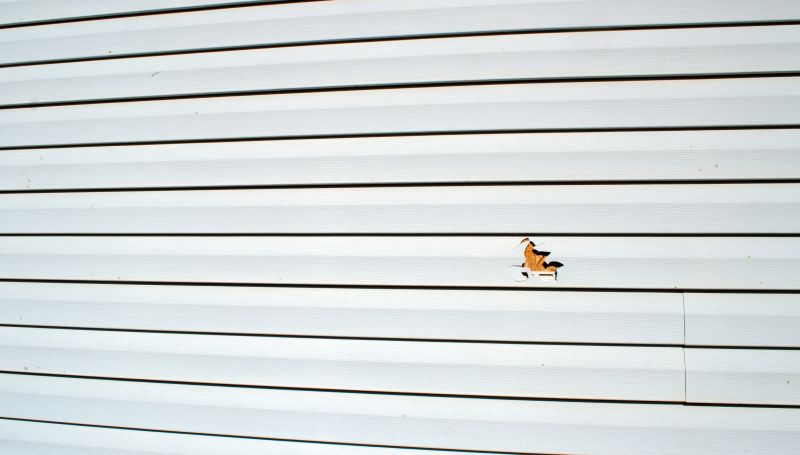 Repairing Siding Damage
