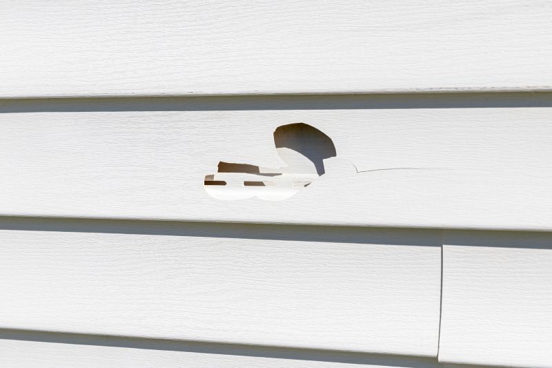 Vinyl Siding Repair - Image 5
